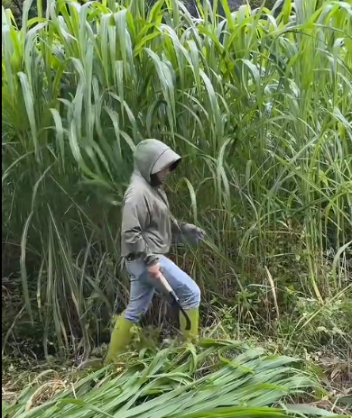 QQ浏览器截图20260929214641.png QQ浏览器截图20260929214641.png