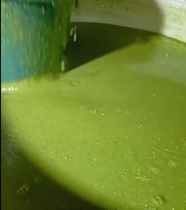 45b6eab6-a50e-4274-a072-a5679e521f35.png 45b6eab6-a50e-4274-a072-a5679e521f35.png