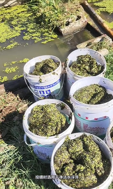 QQ浏览器截图20261008222753.png QQ浏览器截图20261008222753.png