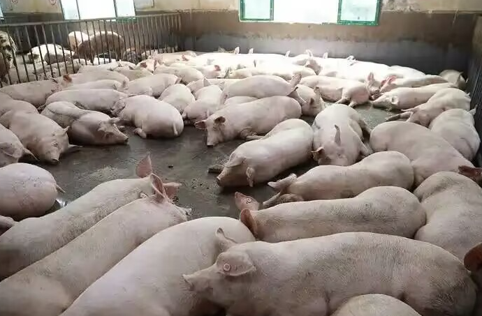 image.png image.png