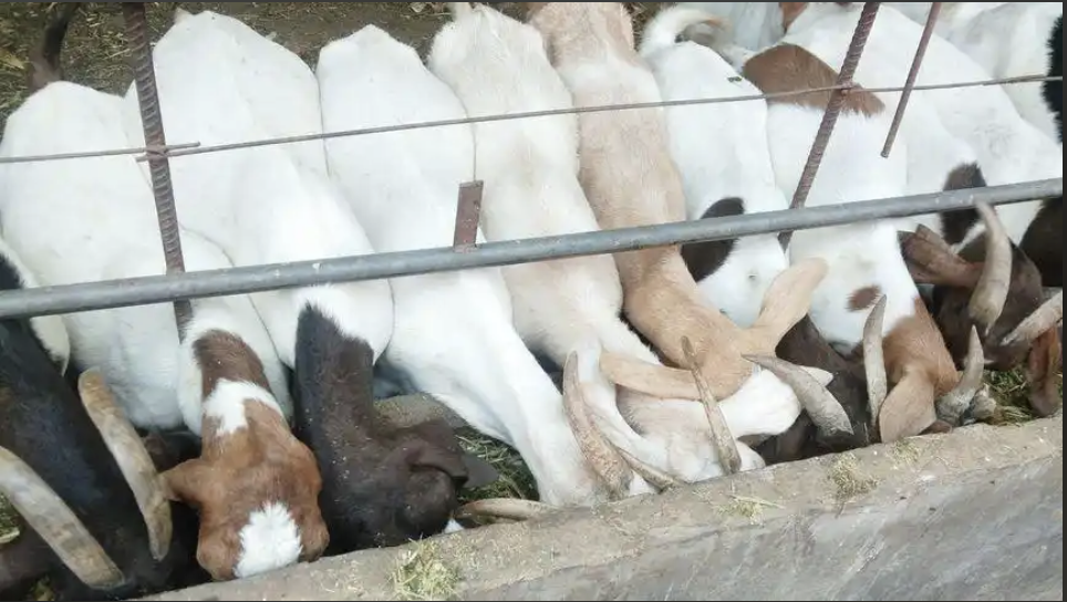 截屏2026-10-20 11.55.56.png