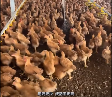 截图20261021100257.png