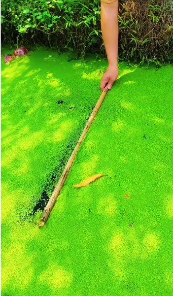 截图20261023100616.png
