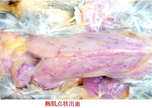 微信截图_20261028091427.jpg