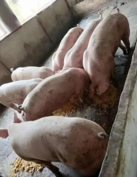 截图20261031103333.png 截图20261031103333.png